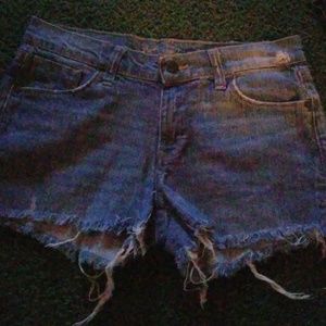 Women's shorts
